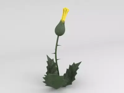 plant Low-poly 3D model get