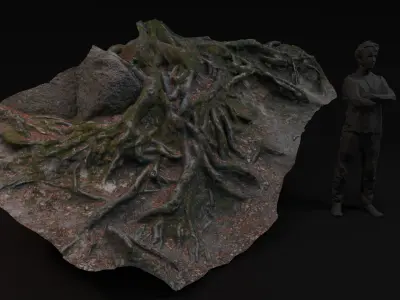 Beech forest ground - 2 of 6 - scan PBR Game ready Low-poly 3D model