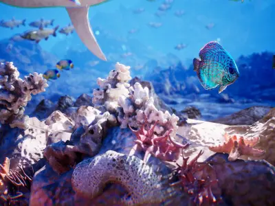 Ocean Floor Pack  High Quality Environment Low-poly 3D model