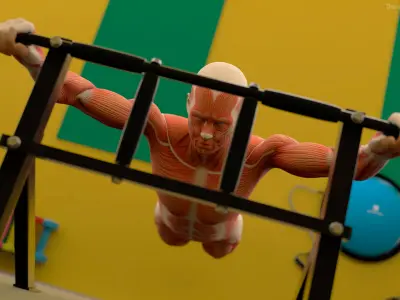  Anatomy Male Muscular System Pull-up Animated Rigged 