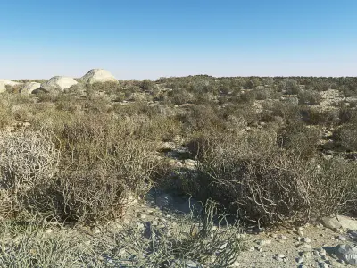  Desert Landscape 6 3D model
