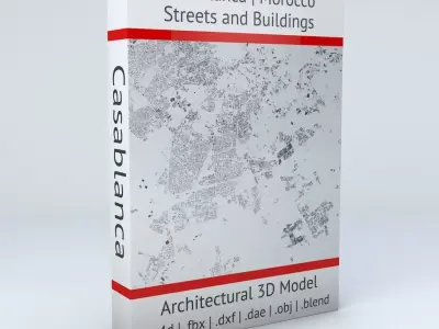 Casablanca Streets and Buildings 3D model