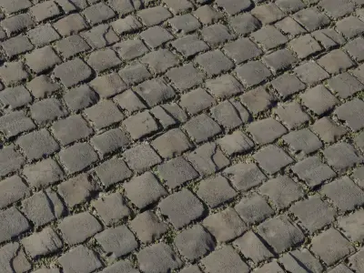 Old Cobblestone Street With Moss Texture
