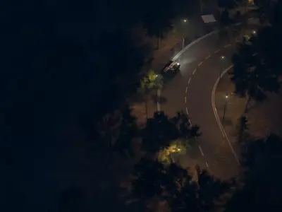 Forest 3d Scene 3D model