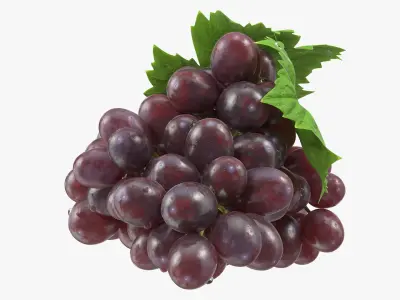  Bunch of Dark Grapes 