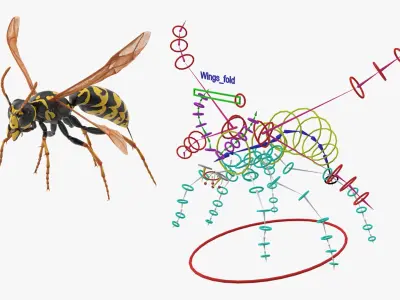  Flying Insects Rigged Collection 5 