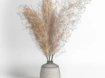 Soft pampas 2 3D model