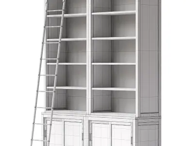 Admont Double Bookcase With Ladder 3D model