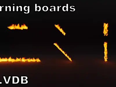 Burning boards vdb 3D model