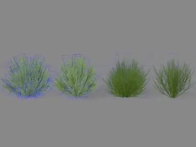 Shrub Rosmarinus 1 Low-poly 3D model