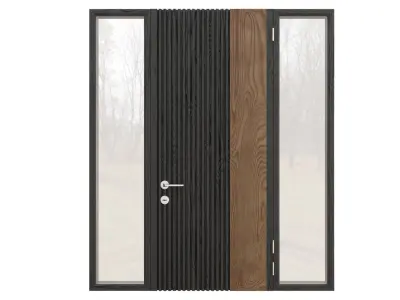 Entrance doors 3D model
