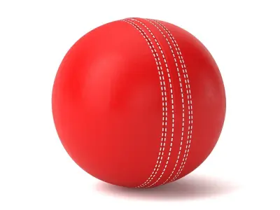 Leather Cricket Ball 3D model