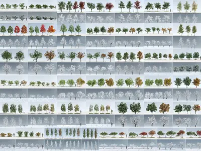  Three Season Trees Collection 