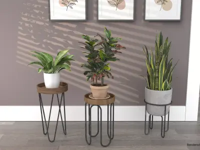 Plant Stands with Three Houseplants 3D model