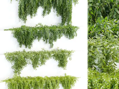 Hanging wall creeper plants collection vol 7 3D Model Pack