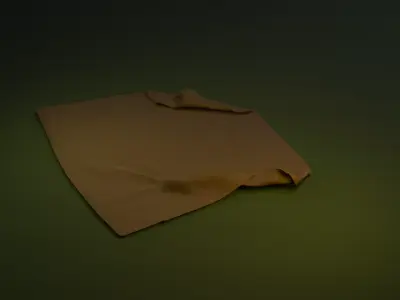 Wrinkled Carpet 3D model