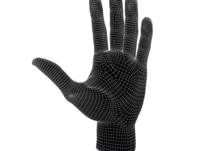 Hand Sculpture v1 002 Low-poly 3D model