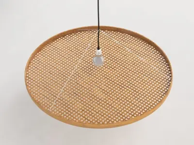 Chao Zhang Shadow Light 3D model