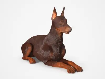  Brown Doberman Pinscher Fur for Cinema 4D Rigged 