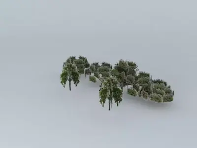 Street trees Minas Gerais Free 3D model