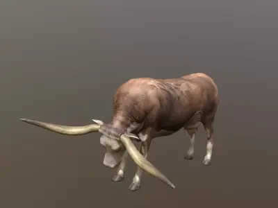 Longhorn Cow Animated and Rigged 3D model Low-poly 3D model