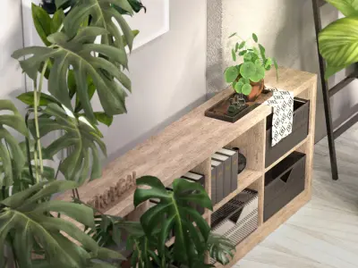 Tropical Indoor plant collection 3D model