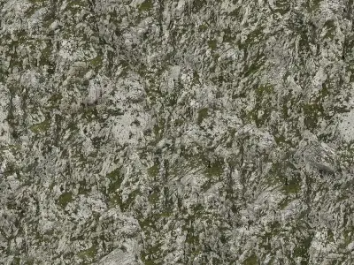 Mossy Gray Rock Texture  Texture