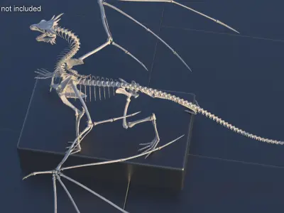 Fantasy Dragon Creature and Skeleton Rigged for Cinema 4D Collection 