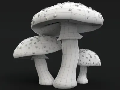  Mushroom Collection 