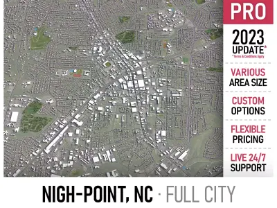 High-Point Low-poly 3D model