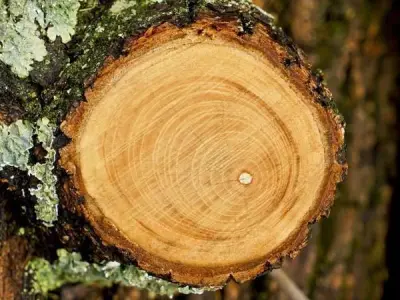 Calcifer Low-poly 3D model