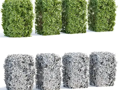 60 Bush models collection vol 10 3D Model 3D Model Pack