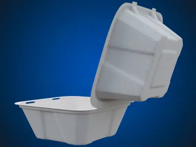 Compostable Food Container - Disposable 3D model