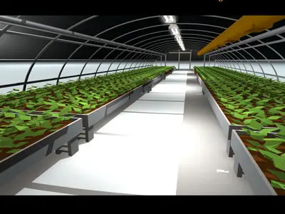 Greenhouse 3D model