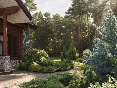 Plants Collection 1 3D model