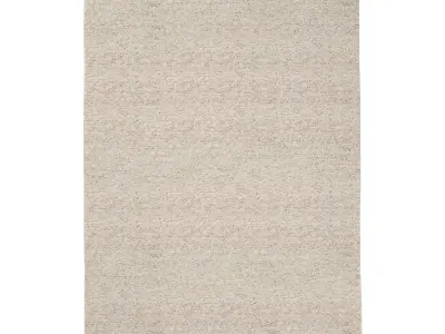 BHARATI WOOL RUG 3D model