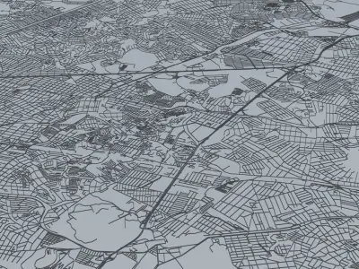 Rio De Janeiro Road Network and Streets 3D model