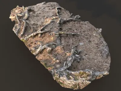 nature ground scan 001 3D model
