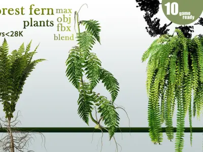 10 forest fern plants VOL 07 Low-poly 3D model