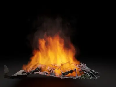 Burning garbage pile vdb 3D model