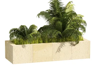 3 Street swordfern border plant Low-poly 3D model