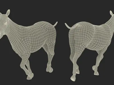  African Animals Collection 12 