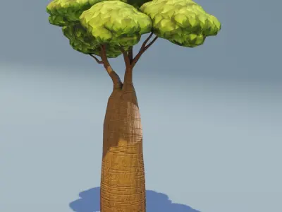 Cartoon Baobab Tree 3D Model Low-poly 3D model