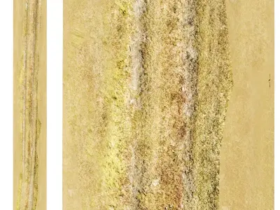 Dirt field road 3D model