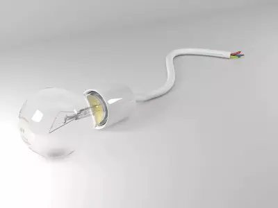 Incandescent lamp bulb with cable 3D model