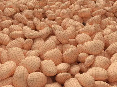 Stone pebble 3D model