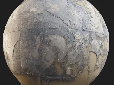 Rocky Pathway Texture