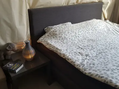 Ring Lamp Free 3D print model