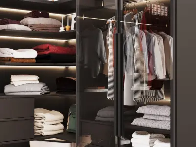 Corner wardrobe with glass doors 3D model