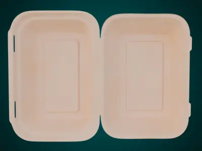 Large Cardboard paper - Disposable Container 3D model